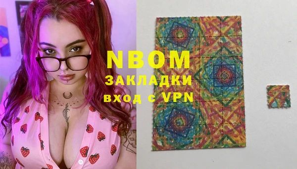 хмурый Бородино
