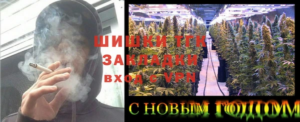 хмурый Бородино