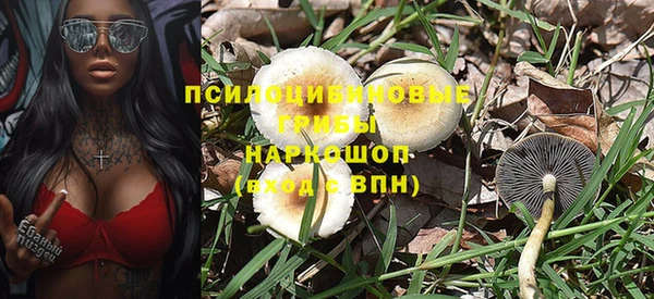 хмурый Бородино
